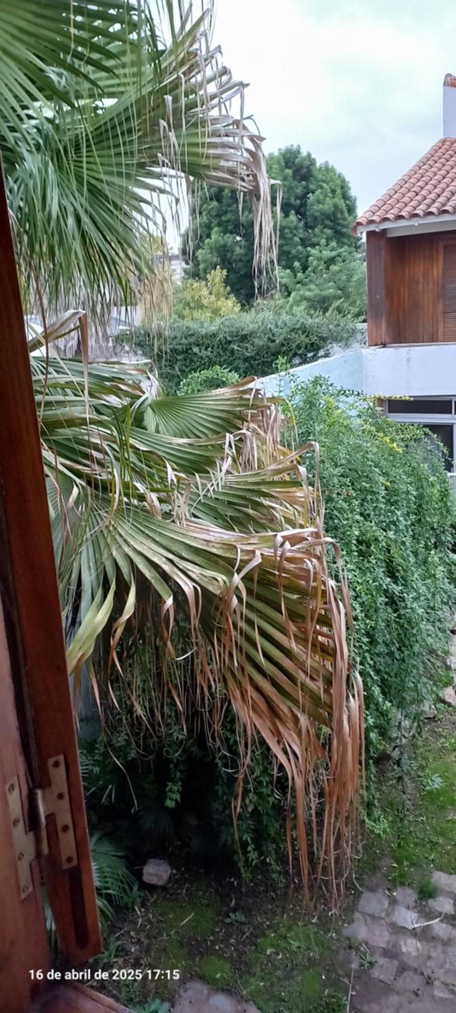 Ezeiza Bed And Breakfast 외부 사진